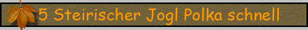 5 Steirischer Jogl Polka schnell