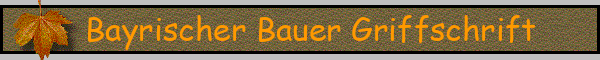 Bayrischer Bauer Griffschrift