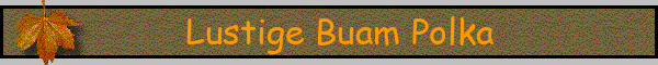 Lustige Buam Polka