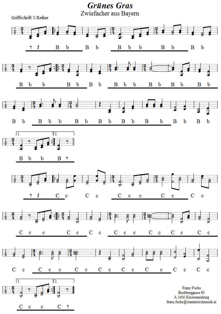 Grünes Gras Zwiefacher in Griffschrift für Steirische Harmonika