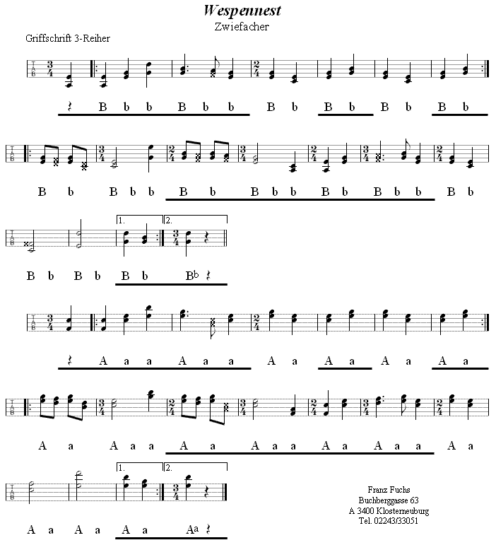 Wespennest Zwiefacher in Griffschrift für Steirische Harmonika